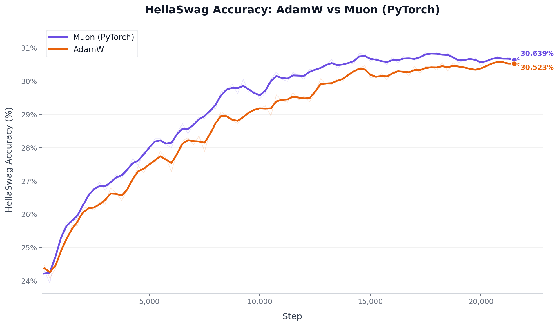 PyTorch Muon vs AdamW (HellaSwag Accuracy)
